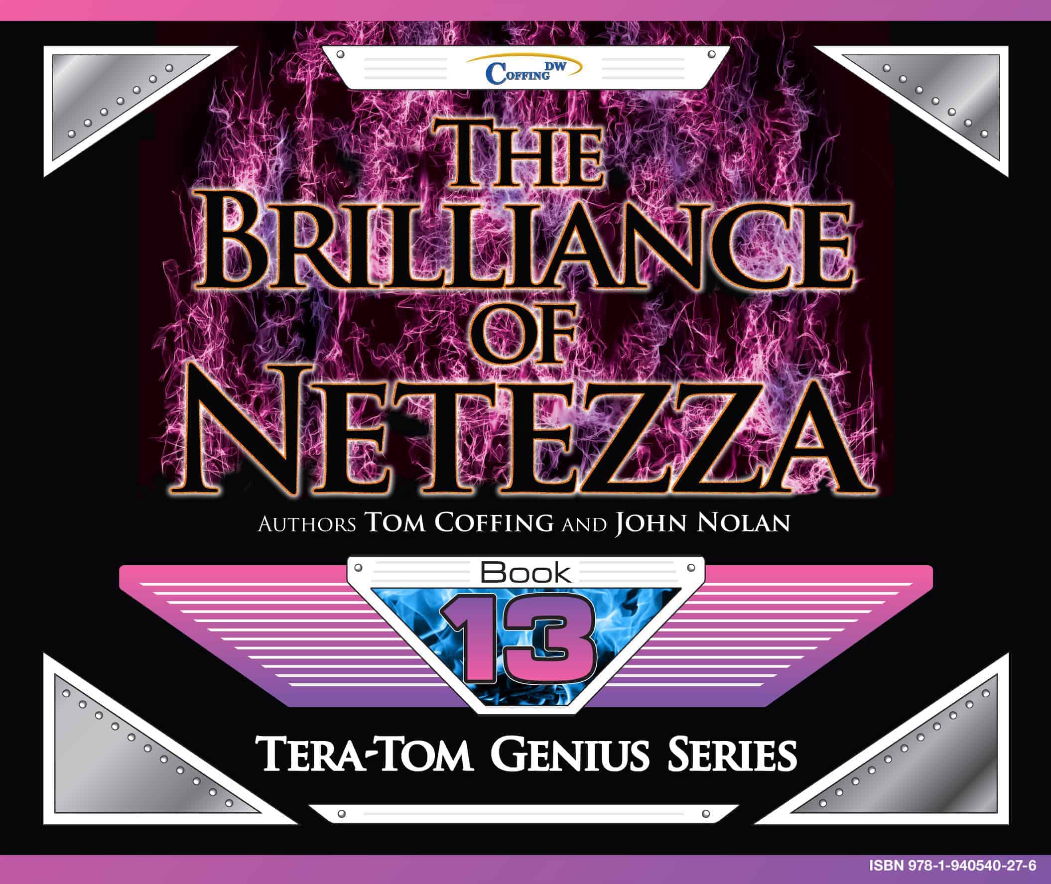 Brilliance Netezza cover